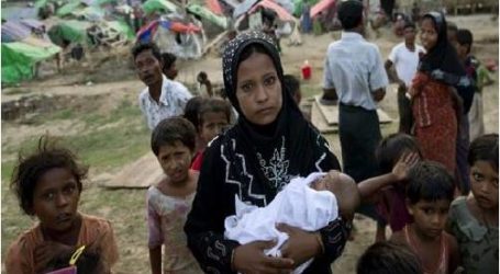 الأمم المتحدة: ارتفاع عدد لاجئي الروهنغيا في بنغلاديش إلى 509 آلاف