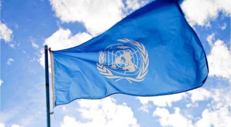 منسق الأمم المتحدة للاغاثة يعرب عن قلقه من استمرار معاناة الملايين في سوريا