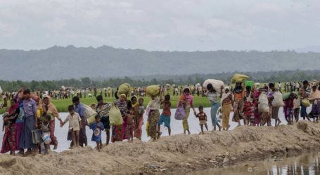 عدد اللاجئين الروهنغيا في بنغلاديش ترتفع إلى 603 آلاف
