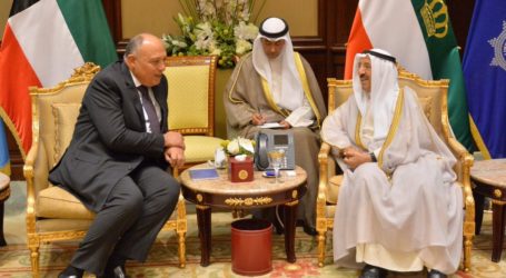أمير الكويت ووزير الخارجية المصري يبحثان الأزمتين اللبنانية والخليجية