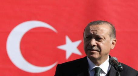 الرؤية التركية لأحداث المنطقة وتطوراتها