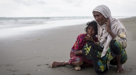 انخفاض معدل تدفق اللاجئين الروهنغيا إلى بنغلاديش