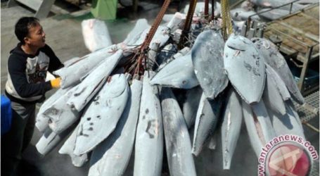 غرق سفن الصيد بشكل غير قانوني يرمي إلى تحسين الأرصدة السمكية في المياه الإندونيسية