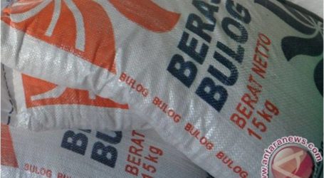 الحكومة من بولوغ  Bulog تكثيف عمليات سوق الأرز