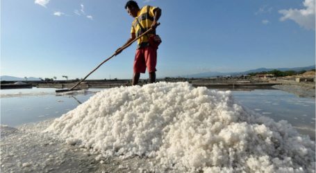 الوزارة توصي ب 2.1 مليون طن من الملح المستورد