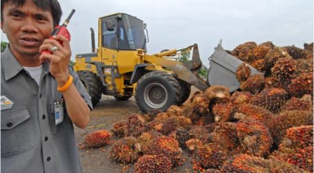 إندونيسيا تعزز صادرات الديزل الحيوي بعد إزالة الرسوم المفروضة