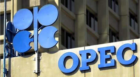 أوبك: السوق النفطية استعادات توازنها في أبريل الماضي  بلومبيرغ