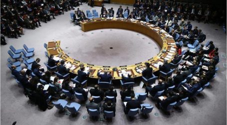 مجلس الأمن : 14 دولة  تعلن تضامنها مع الشعب الفلسطيني