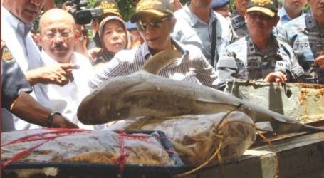 تعزيز التعاون بين إندونيسيا وتايلاند في قطاع مصايد الأسماك