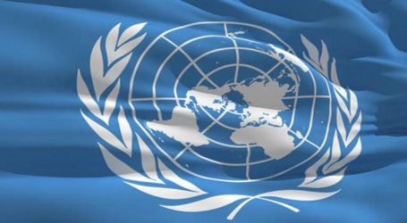 الأمم المتحدة تطالب بحل شامل وعادل ودائم للقضية الفلسطينية