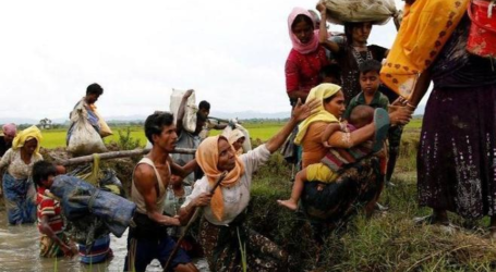 هيومن رايتس تناشد ميانمار دفع تعويضات للمزارعين المصادرة أراضيهم