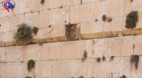 ماذا يعني سقوط حجر من الجدار الغربي للمسجد الأقصى؟ المقدسيون يجيبون..