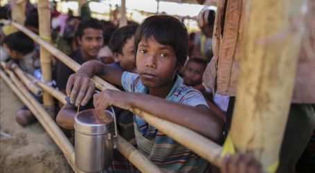 الظروف في ميانمار لا تسمح بعودة واسعة للروهنغيا