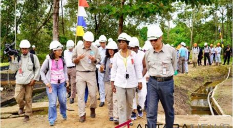 تخطط سومطرة الجنوبية لإصلاح مئات الهكتارات من أراضي الخث