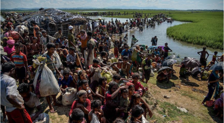 هربا من اضطهاد ميانمار.. الروهنغيا يلجؤون إلى طريق الموت