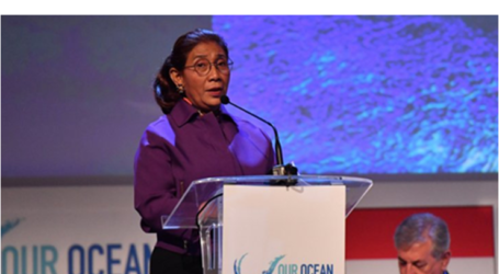 وزيرة الشؤون البحرية  : يجب حماية المحيط والحفاظ عليه من أجل جيل المستقبل