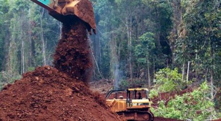 الحكومة تصدر 37 تصاريح أعمال تعدين في آتشيه