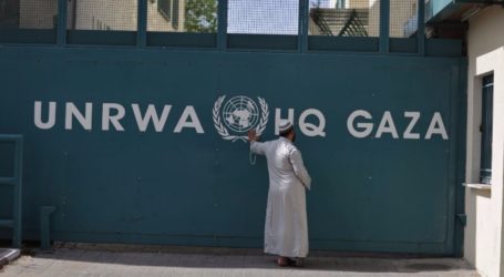 بريطانيا: مجلس الأمن قلق للغاية إزاء أوضاع الروهنغيا في ميانمار