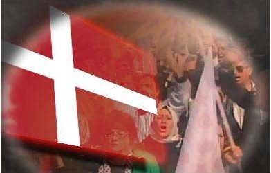 الدنمارك تعتزم حظر تبرعات الحكومات الأجنبية للمساجد