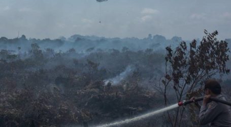 حرائق الأراضي تسبب الضباب في العديد من المناطق في شمال كاليمانتان