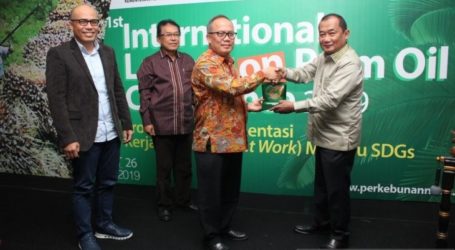 الحكومة الإندونيسية مستعدة لحماية 16.2 مليون عامل يعملون في قطاع زيت النخيل