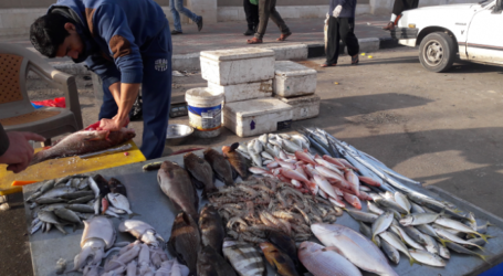صيادو أسماك بغزة يطالبون بوقف الانتهاكات الإسرائيلية بحقّهم