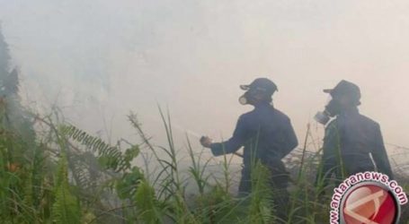 كاليمانتان الوسطى تنشر 750 فرداً لمنع حرائق الغابات