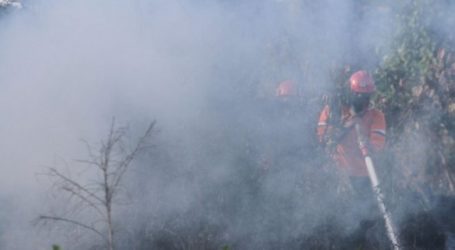 حريق يدمر الهكتارات من أراضي الخث على مشارف بيكانبارو