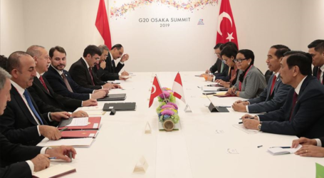 أردوغان يجرى مباحثات مع نظيره الإندونيسي على هامش قمة العشرين