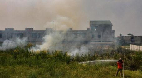 تصل النقاط الساخنة لحرائق الغابات ملوثة الهواء في رياو إلى 154