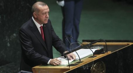 أردوغان: السلام والرخاء من حق كافة شعوب العالم