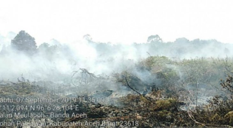 حريق هائل يلتهم أراضي الخث في غرب آتشيه البالغة مساحتها 1.5 هكتار