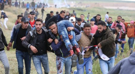 الاحتلال يستهدف المشاركين في مسيرات العودة بالرصاص وقنابل الغاز