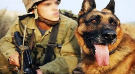 قوات الاحتلال تقتحم مستشفى للسرطان برفقة الكلاب البوليسية