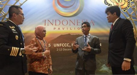 غطاء المانغروف الإندونيسي يرتفع إلى 3.56 مليون هكتار في عام 2019
