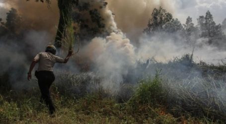 اكتشاف 11 نقطة ساخنة لحرائق الغابات في المناطق الساحلية لرياو
