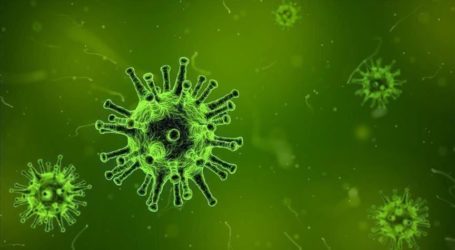 أكثر من 17.300 إصابة جديدة لفيروس كورونا عالميا