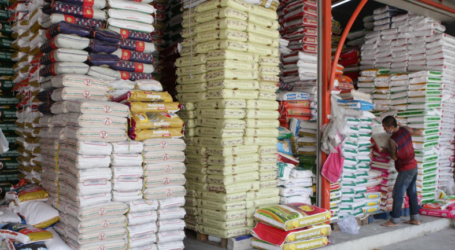 وزير الزراعة : مخزون الأرز آمن في مواجهة تفشي كوفيد -19