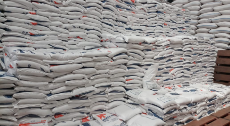 الرئيس جوكو ويدودو : مخزونات الأرز الوطنية مفتاح التخفيف من أزمة الغذاء