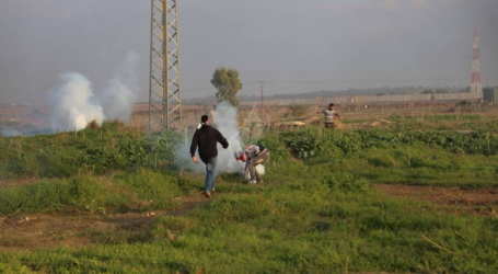 الاحتلال يستهدف المزارعين والصيادين في قطاع غزة