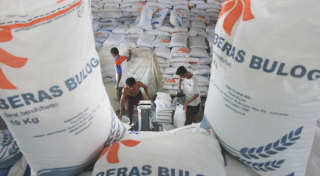 وكالة بولوغ : مخزون الأرز يصل إلى 1.8 مليون طن بحلول يونيو