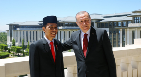 الرئيس أردوغان ونظيره الإندونيسي يبحثان تعزيز العلاقات