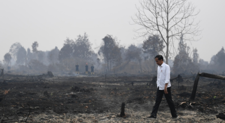 الوزير: نجحت إندونيسيا في تقليل حرائق الغابات إلى الحد الأدنى