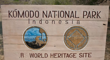 حديقة كومودو الوطنية تفتح باب التسجيل للسياح عبر الإنترنت