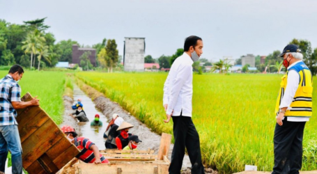 الرئيس جوكو ويدودو : يمكن للمقاطعات الأخرى محاكاة نموذج منطقة الطعام في شمال سومطرة