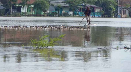 فيضان نهر سيرايو ، يغمرعدة قرى في خمس مقاطعات فرعية في منطقة بانيوماس