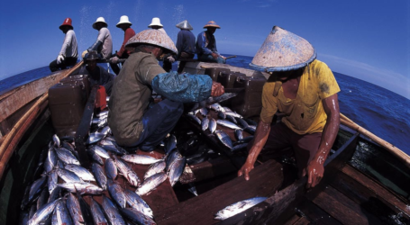 خمسة ممرات لوجستية لتعزيز الوصول إلى مصايد الأسماك في شرق إندونيسيا