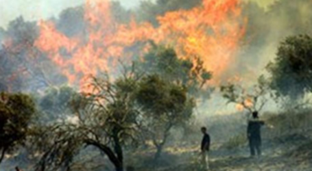 مستوطنون يحرقون محاصيل زراعية فلسطينية جنوبي الضفة