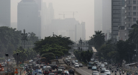 نائب وزيرة المالية : إندونيسيا تواصل خفض انبعاثات الكربون