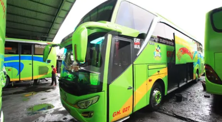 الوزير يضغط لتفقد حافلات السياحة قبل نهاية عام 2021